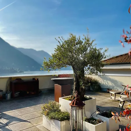 La Terrazza Dell'ulivo Apartment *